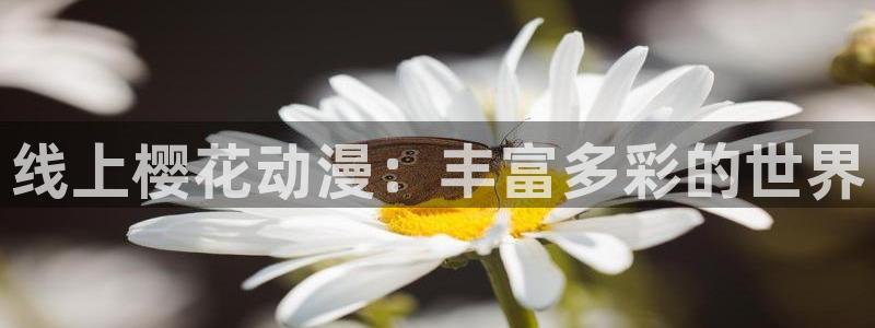 午夜影院官网