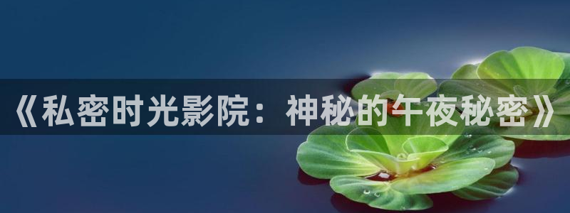 午夜影院电视免费播放音乐