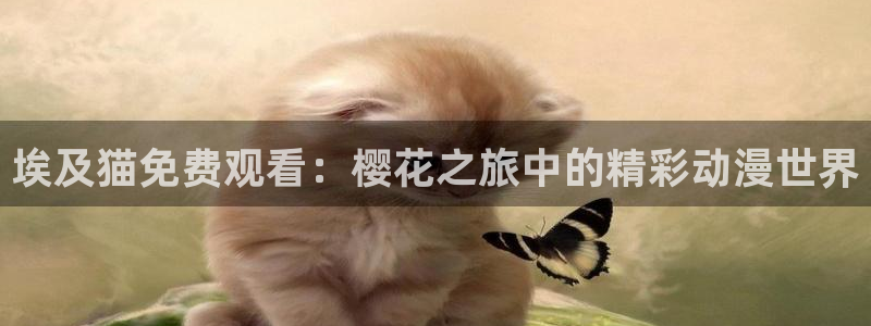 星空动漫网官网在线观看免费