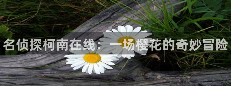 重庆午夜影院