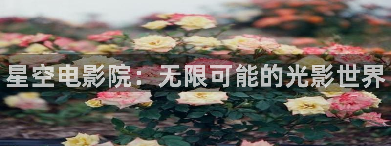 午夜影院免费观看电影app