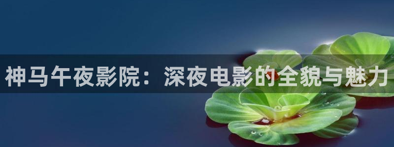 星空视频mv