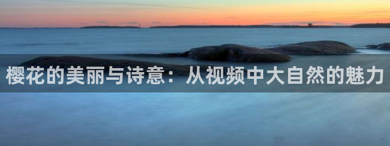 星空无痕免费视频观看