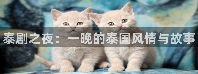 午夜影院在线电影