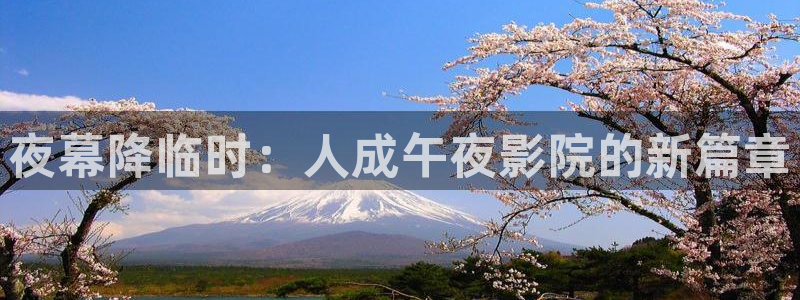 星空高清在线观看免费