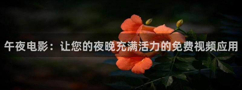 星空影视 在线