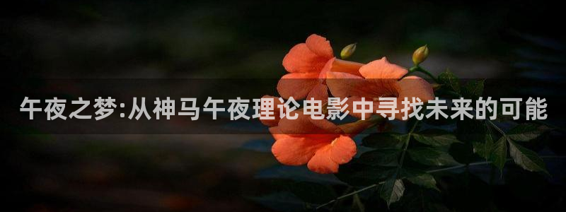 午夜影院电影大全