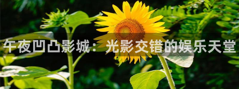 午夜影院在线免费播放