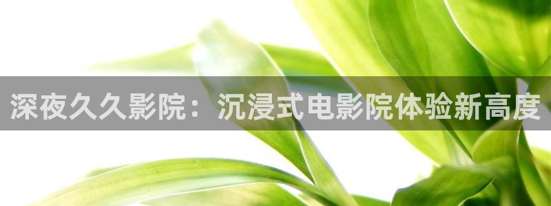 午夜影院电影电视剧免费播放