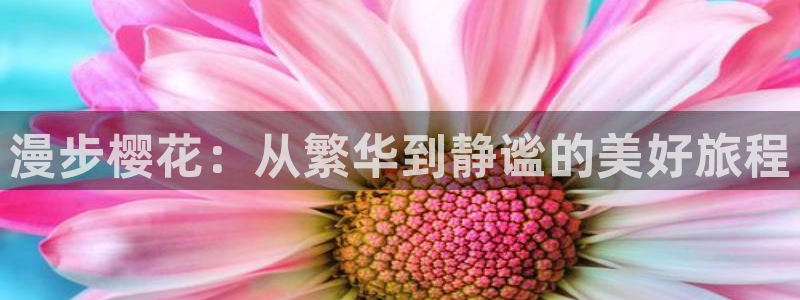 富县午夜影院今日影讯