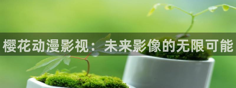 午夜影院电视免费播放音乐