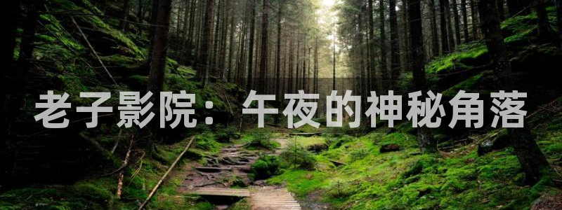 午夜影院电视免费看