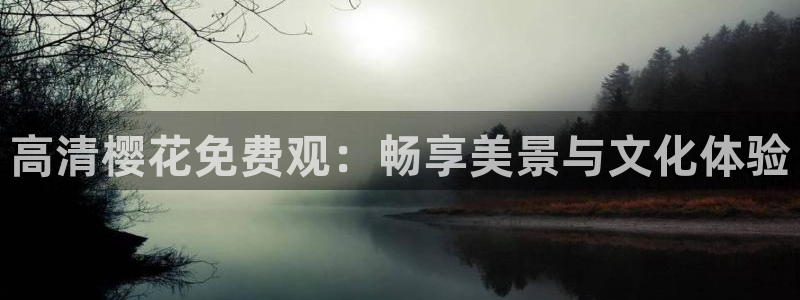 星空影视在线观看电视剧免费