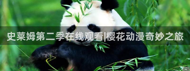 午夜影院在线观看免费节目