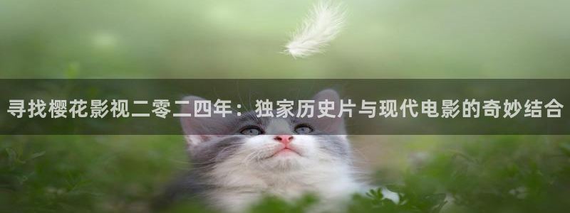 请叫我总监午夜影院