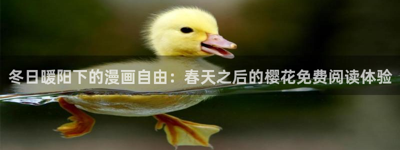 星空无限传媒免费观看电影