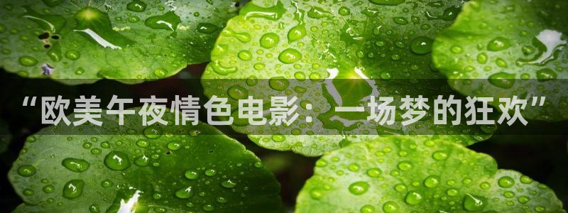 午夜影院免费观看电视剧电影大全最